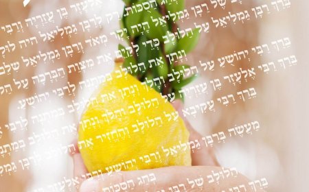 מדרש